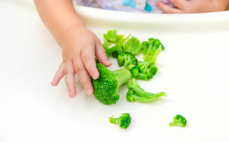 Van puree naar pro: de Rapley&nbsp;methode